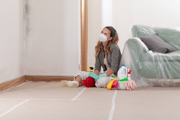 Reliable Crawl Space Mold Removal contractor in Wellersburg, PA by WQB Mold Removal
